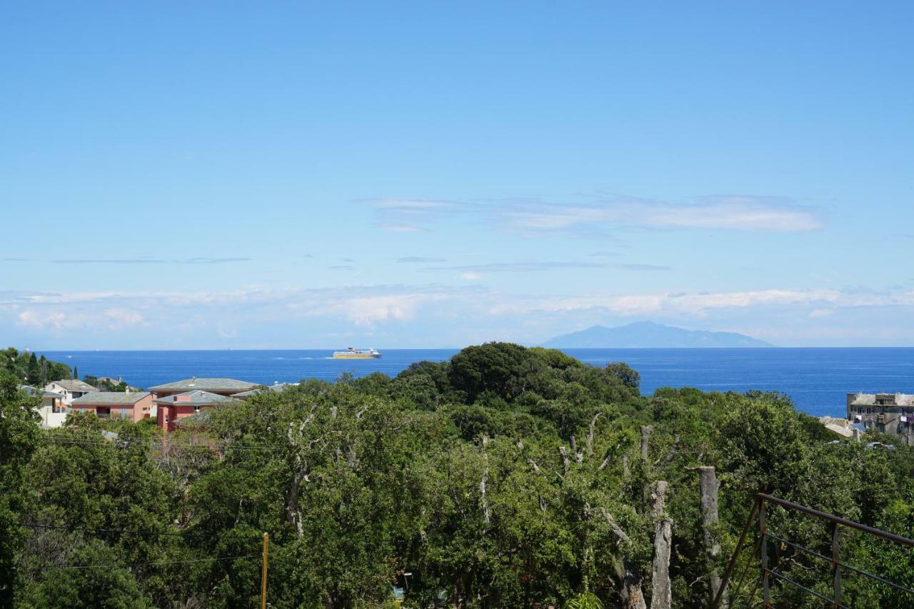 In Erbalunga Erbalunga (Corsica)