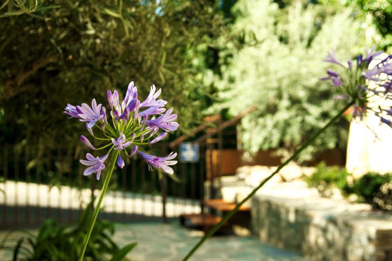 Aparthotel In Erbalunga Erbalunga (Corsica)